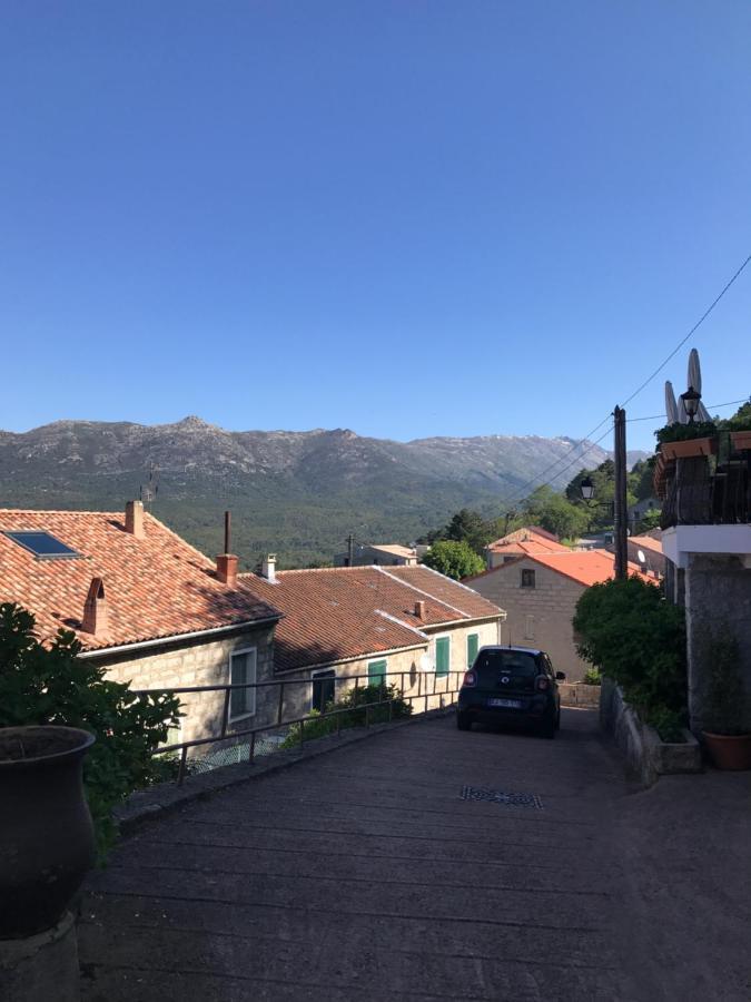 زونزا Hotel La Terrasse المظهر الخارجي الصورة