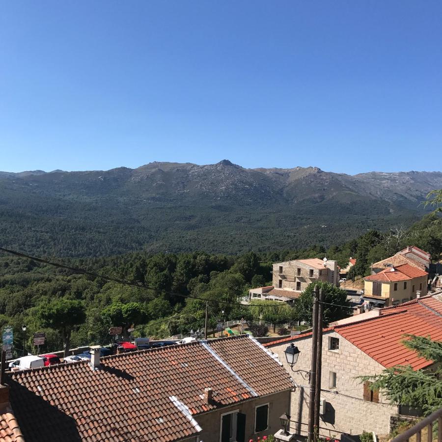 زونزا Hotel La Terrasse المظهر الخارجي الصورة