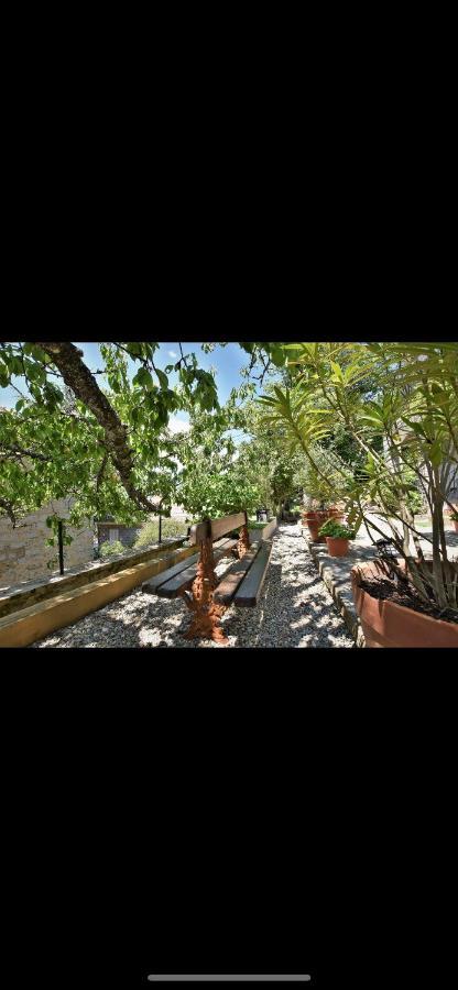 Hotel La Terrasse زونزا المظهر الخارجي الصورة